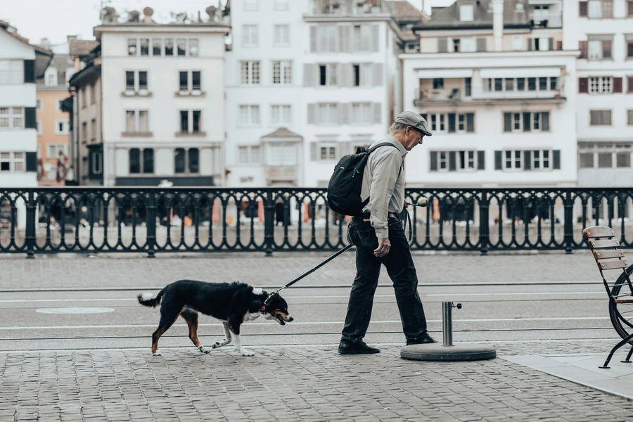 Pet travel visa 2025 guide